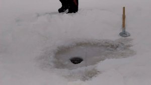 Ледобур INDIGO 120(R)-1600 (правое вращение)