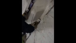 Горные лыжи Salomon X-Drive 7.5 + Lithium 10 15/16