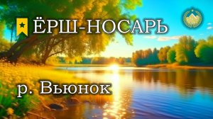 ✮ р. Вьюнок ✮ Ёрш-носарь ✮ Русская рыбалка 4 ✮