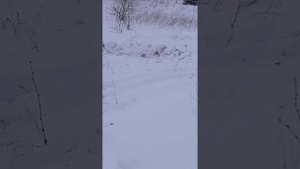 Самодельный снегоход,двигатель иж юпитер 5