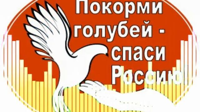 #NBиPS 2020 СТРАНА ВЫХОДИТ КОРМИТЬ ГОЛУБЕЙ 2020 #NBиPS смотреть онлайн