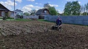 Пашим, культивируем садим картофель минитрактором
