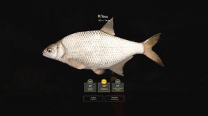 Русская Рыбалка 4 — Лещ на реке Волхов