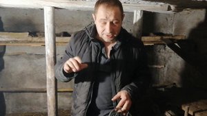 Сколько корма за месяц съели куры и снесли яиц?