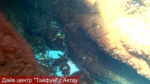 Дайвинг в Казахстане. Пробное погружение в Каспийском море-2020г.