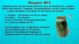 Киста на почке. Народная медицина