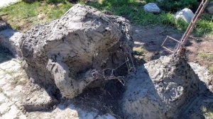 Самая большая лягушка? весом 700кг.,Арт бетон., животные из Арт бетона.