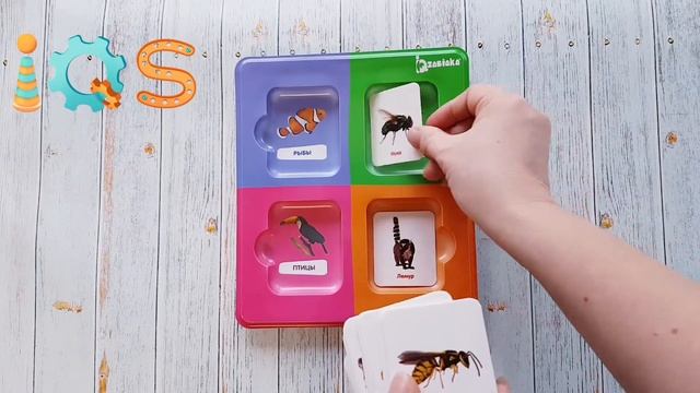 ИГРА НА СОРТИРОВКУ - ИЗУЧАЕМ ЖИВОТНЫЙ МИР, С КАРТОЧКАМИ ДОМАНА смотреть онлайн