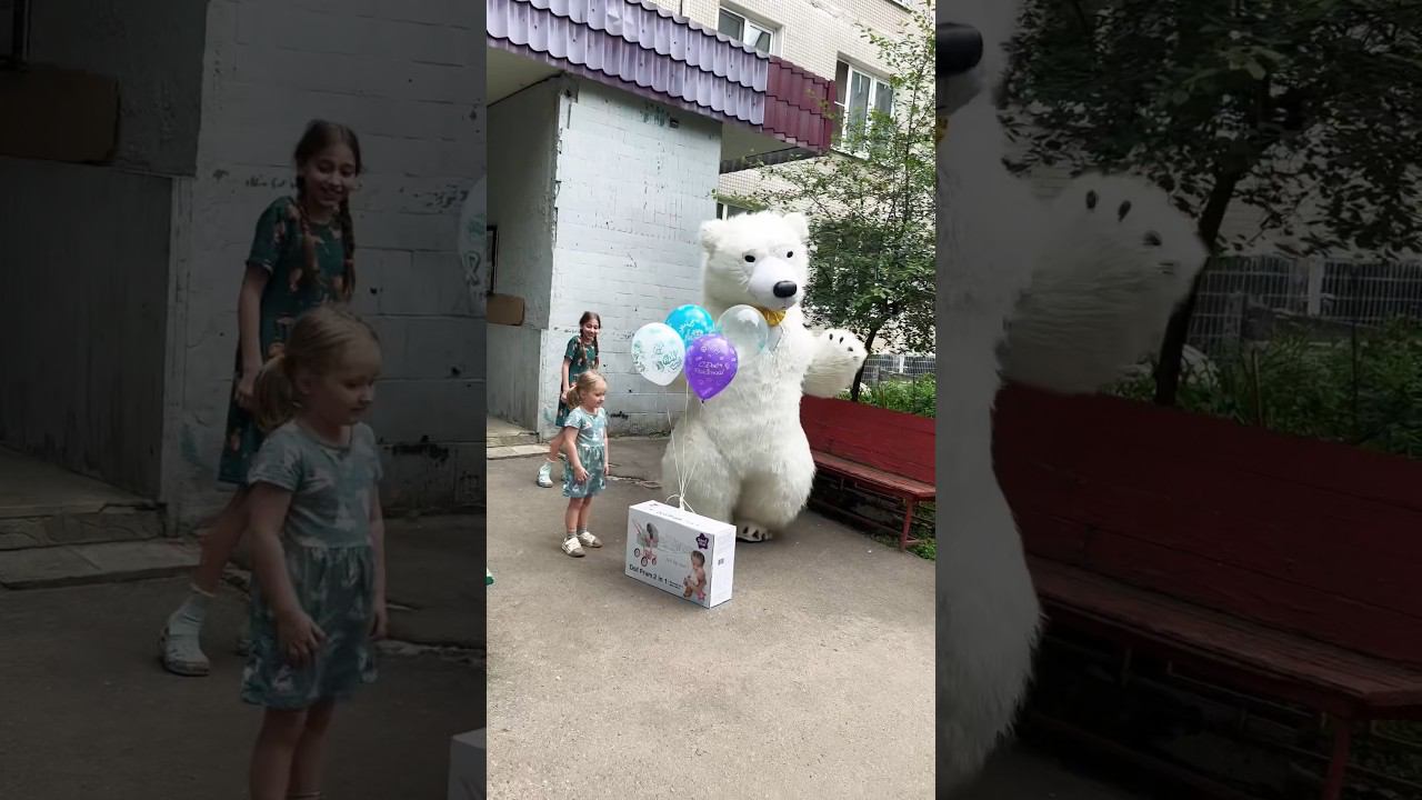 поздравление белого медведя для девочки #белыймишка #деньрождения #дети #большоймишка смотреть онлайн