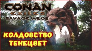 Conan Exiles - КОЛДОВСТВО И ТЕНЕЦВЕТ НА НОВОЙ КАРТЕ Savage Wilds.