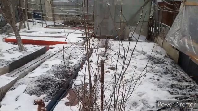 ?Зима на юге//Яблочный уксус для Кур//Лавровый лист зимой смотреть онлайн