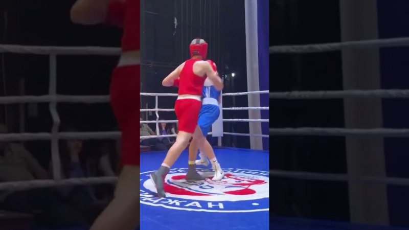 Ссылка на полный бой в закреплённом комментарии!