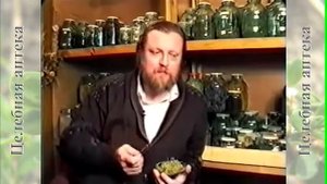 Горец почечуйный