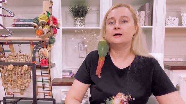 ГЛИНА ДЛЯ ПОПУГАЕВ | КАКУЮ ГЛИНУ МОЖНО ДАВАТЬ ПОПУГАЯМ А КАКУЮ НЕТ