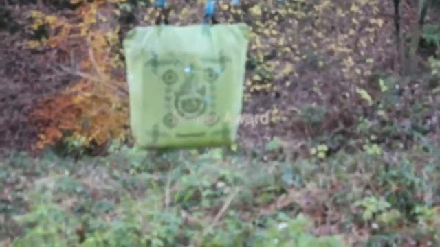 bouncy boy's adventure. смотреть онлайн