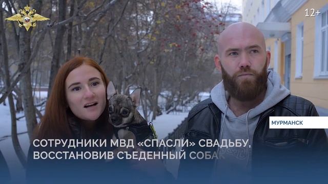 В Международный день «СПАСИБО» МВД России подготовило видео, где граждане благодарят полицейских