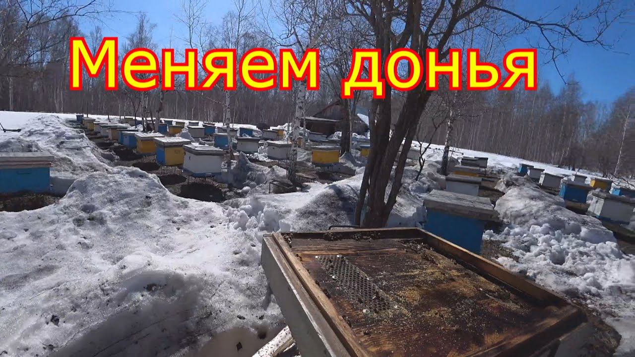 Весенние работы на пасеке. Меняем донья