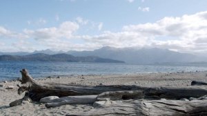 МЕДИТАЦИЯ НА БЕРЕГУ РЕКИ