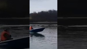 кайман 31s
