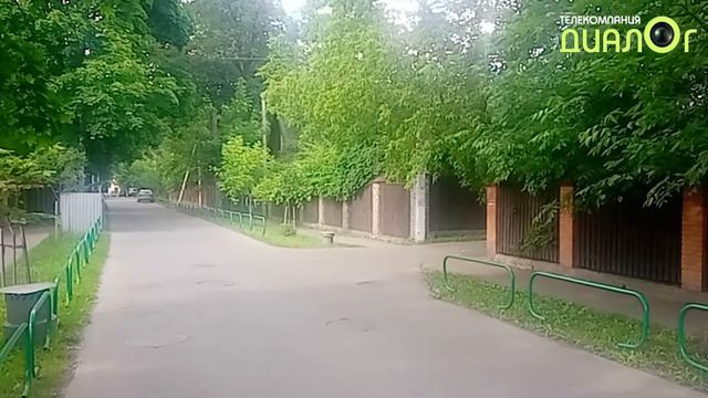 Посёлок художников Сокол, июнь 2021 (Видеоблог Евгения Степанова)