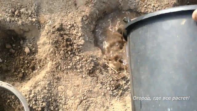 198. Посадка перца для большого урожая. смотреть онлайн