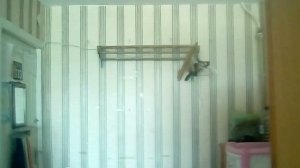 Рум -тур по комнате в общежитии, летом на подготовительных курсах/ Room-tour of the dorm room, in