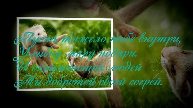 Отличное настроение! смотреть онлайн