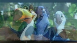 Рио попугаи.