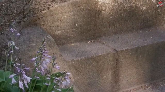 Древняя каменная скамья Екатерины II в Ораниенбауме со старыми надписями