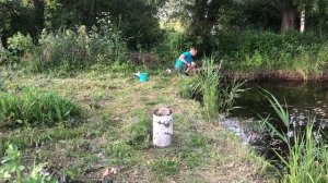 Вылавливаю рыбу из пруда, зачем?
