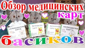 Обзор медицинских карт басиков.