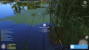 Русская рыбалка 4 - Старый Острог - белый амур