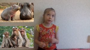 От слона до муравья песня Вероника тв