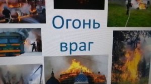 Экология для детей. Что такое экология?