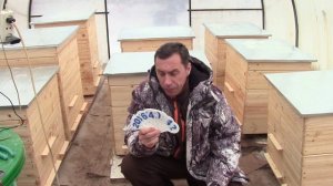 Где взять номера на улья.