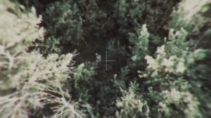 Врата Овертона -  333