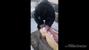 Удобная и быстрая разделка свиньи