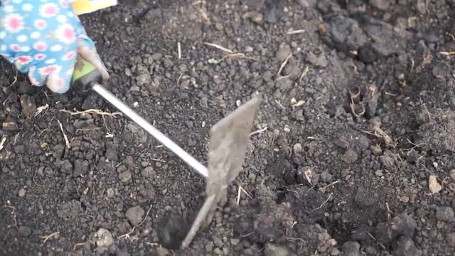 Что посадить в сентябре ✔️ Что посадить под зиму ✔️ Советы садоводам от Хитсад ТВ смотреть онлайн