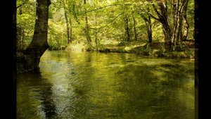 Прогулка по реке Черная, Крым, Севастополь