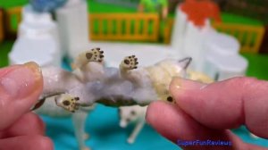 Happy Cute ZOO Animals - Toys for Kids - Lion Wolf Giraffe Shark - Wild Zoo Animals