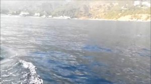 Рыбалка на ставриду.август 2016 г. Форос. Гостевой Дом "Бенефит".