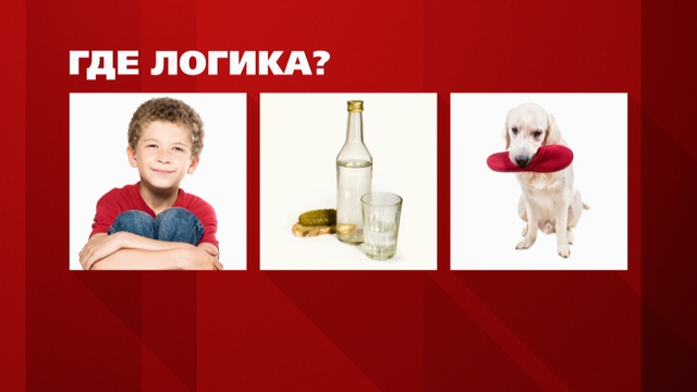 Где логика примеры заданий Герои любимых шоу ТНТ анонсы - смотреть онлайн видео бесплатно в хорошем качеств