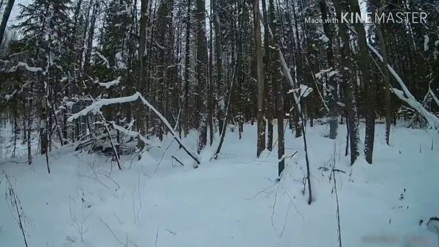 Охота перед Рождеством смотреть онлайн