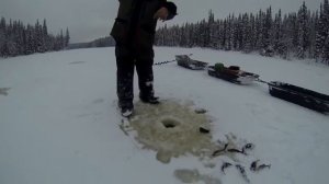 ЗИМНЯЯ РЫБАЛКА НА МОТОБУКСИРОВЩИКЕ PAXUS