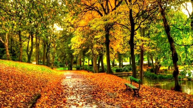 Красота осени - Шопен смотреть онлайн