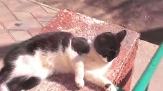 клип весна в новомичуринске