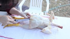 HOW TO BUTCHER & PROCESS A CHICKEN (the right way)