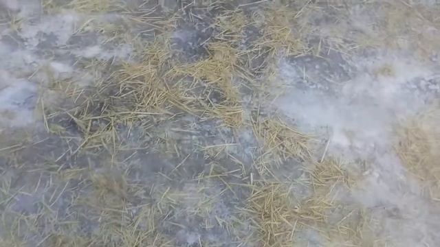 Гололед,машина буксует,вариант чем посыпать на всю зиму！ смотреть онлайн