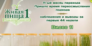 Евгений Агафонов, Личный опыт сыроедения, Проект 52 недели. Месяц 11. (видео 77)