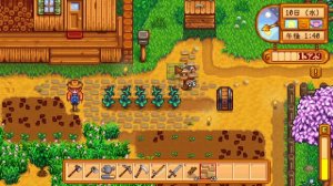 【Stardewvalley】やっと家が建って感動した…1年目_10日目 春